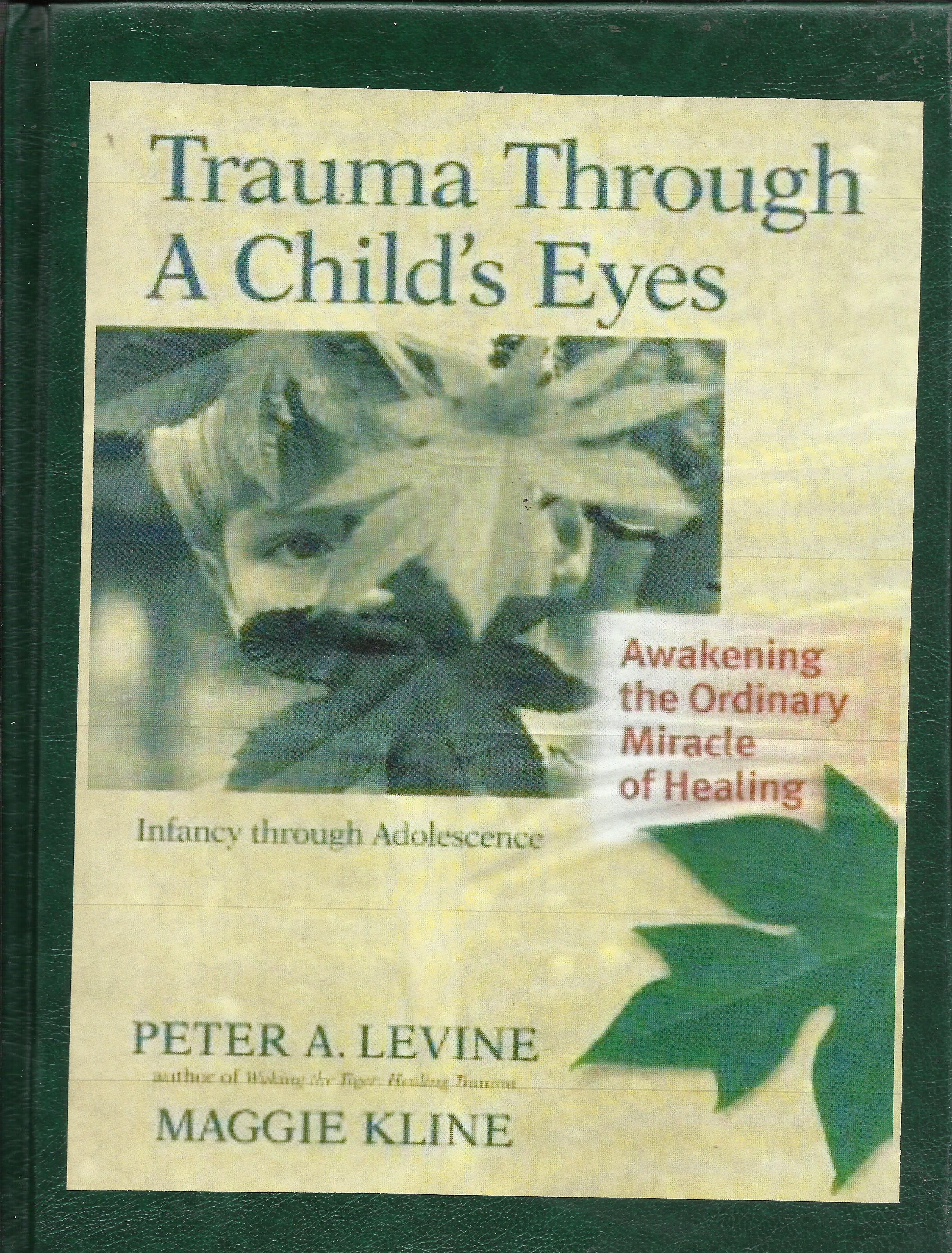 Trauma Through A Child's eyes